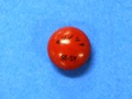 センノシド錠12mg「セイコー」