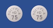 クロピドグレル錠75mg「YD」